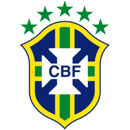 Brazil DLS Logo