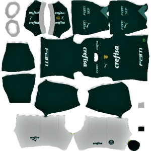 Palmeiras DLS Home Kit