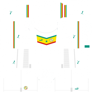 Senegal DLS Home Kit