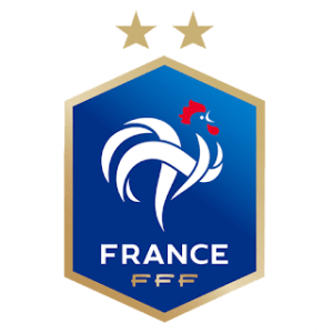 France DLS Logo