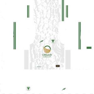 Al Masry SC DLS Away Kit