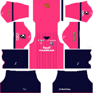 Cerezo Osaka DLS Home Kit