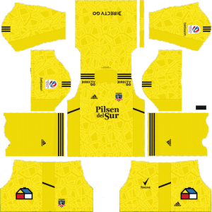 Colo Colo DLS Goalkeeper Home Kit