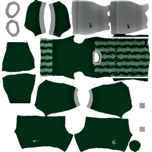 Maccabi Haifa DLS Home Kit