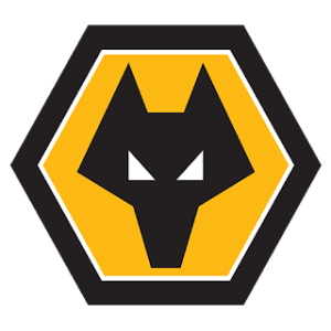 Wolverhampton Wanderers DLS Logo
