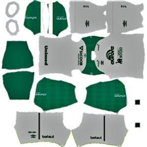 Chapecoense DLS Away Kit