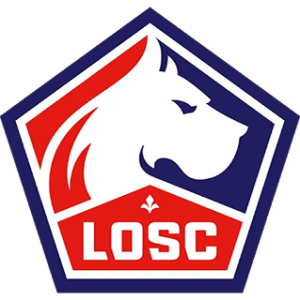 Lille DLS Logo