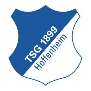 TSG Hoffenheim DLS Logo