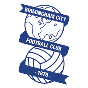 Birmingham City DLS Logo
