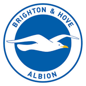 Brighton Hove Albion DLS Logo