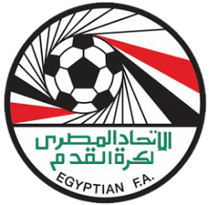 Egypt DLS Logo