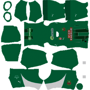 Rapid Wien Home Kit DLS 2025